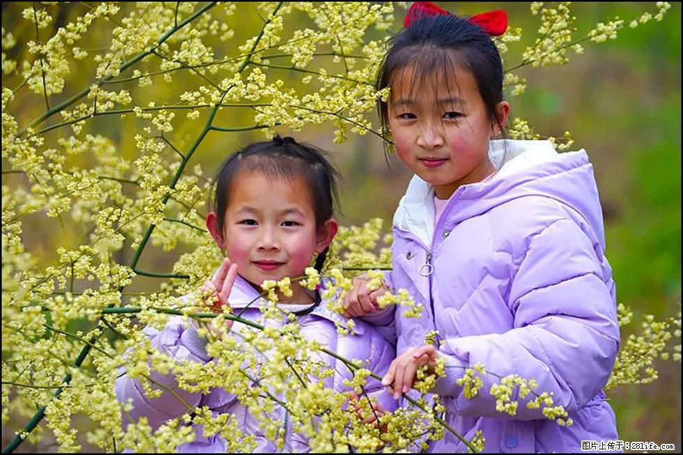 【春天，广西桂林灌阳县向您发出邀请！】米珠山前有片山苍子花在飘香 - 游山玩水 - 临夏生活社区 - 临夏28生活网 linxia.28life.com