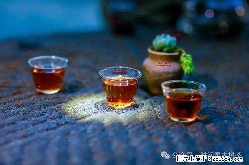 时间果百年古树2025年春红茶 - 购物交流 - 临夏生活社区 - 临夏28生活网 linxia.28life.com