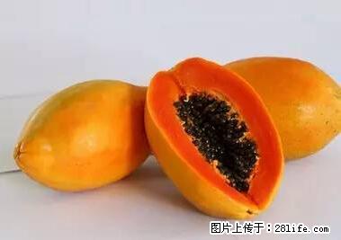 晕车、脚气、牙齿变黄、皮肤粗糙？学会这些三分钟搞定！ - 临夏生活资讯 - 临夏28生活网 linxia.28life.com