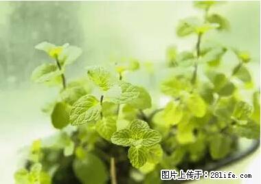 晕车、脚气、牙齿变黄、皮肤粗糙？学会这些三分钟搞定！ - 临夏生活资讯 - 临夏28生活网 linxia.28life.com