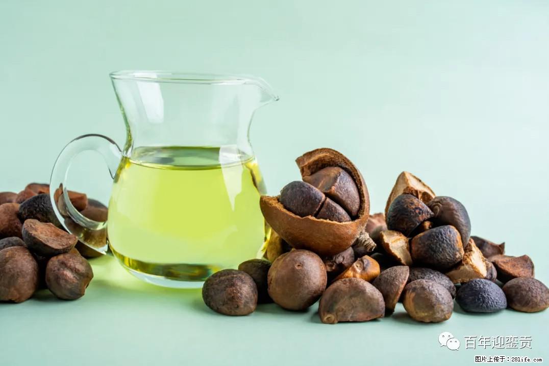 世界没有真相，只有认知，最好的食用油是中国的山茶油！ - 临夏生活资讯 - 临夏28生活网 linxia.28life.com