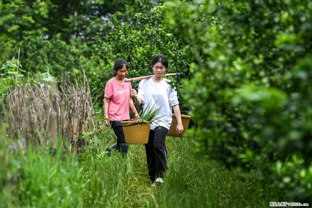 全网追的“扁担女孩”,找了一份暑假工,时薪12元 - 临夏生活资讯 - 临夏28生活网 linxia.28life.com