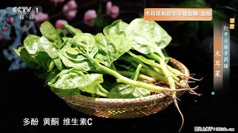 比牛奶补钙还厉害!凉血解毒、稳血糖...这菜冬天必吃,很多人却当草 - 临夏生活资讯 - 临夏28生活网 linxia.28life.com