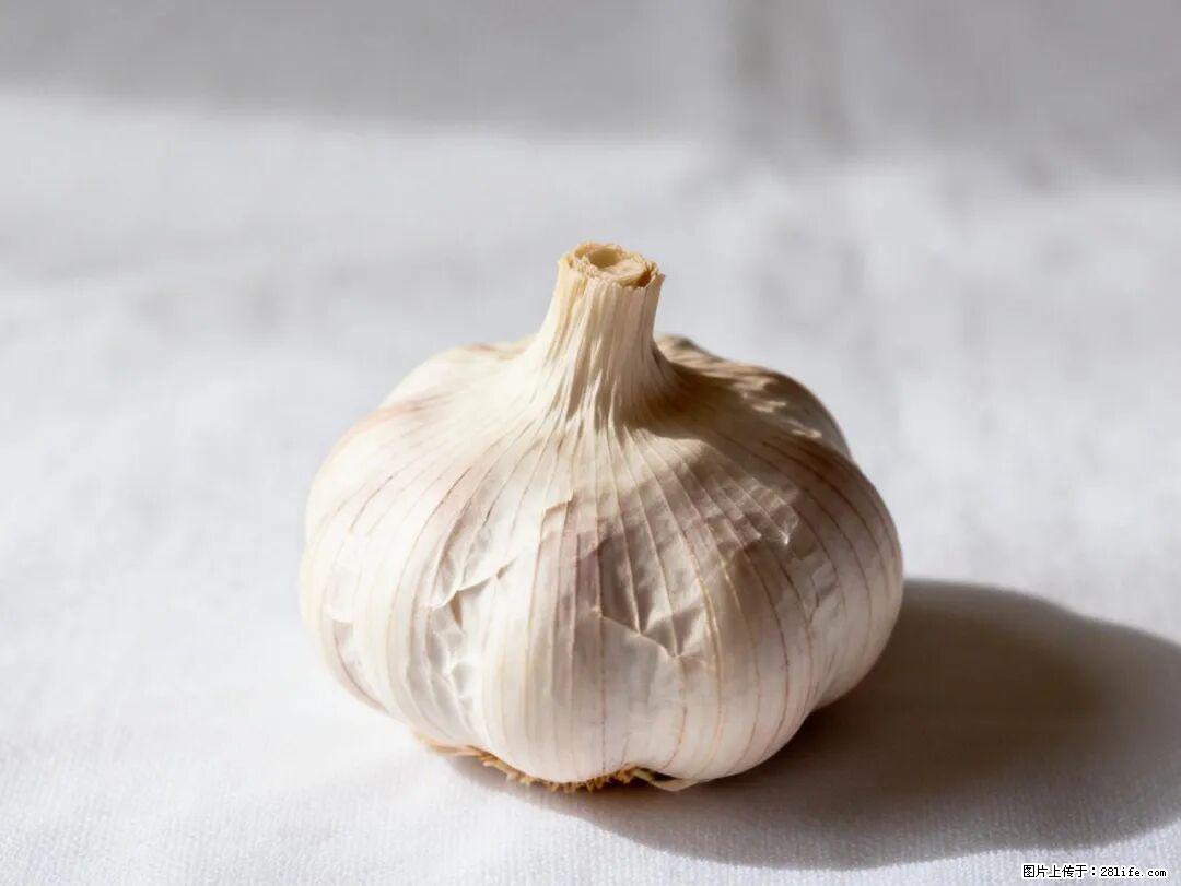 关于大蒜，除了“天然抗生素”，这4个谣言更该警惕! - 临夏生活资讯 - 临夏28生活网 linxia.28life.com