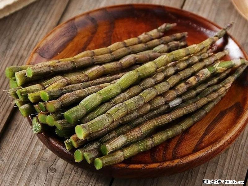 铁皮石斛的作用与功能主治 - 临夏生活资讯 - 临夏28生活网 linxia.28life.com