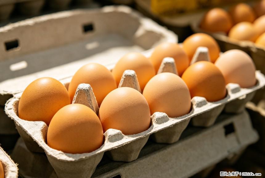 每天吃1个鸡蛋，全身收获9大好处！ - 临夏生活资讯 - 临夏28生活网 linxia.28life.com